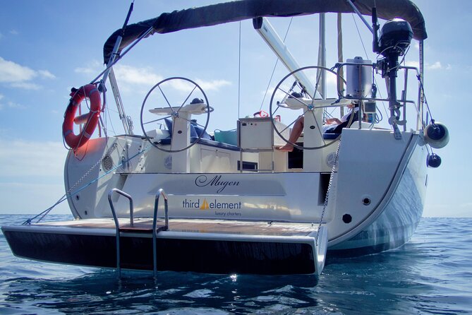 Los Gigantes Whale Watching Charter by Sail Boat - Is $90.70 a fair price?