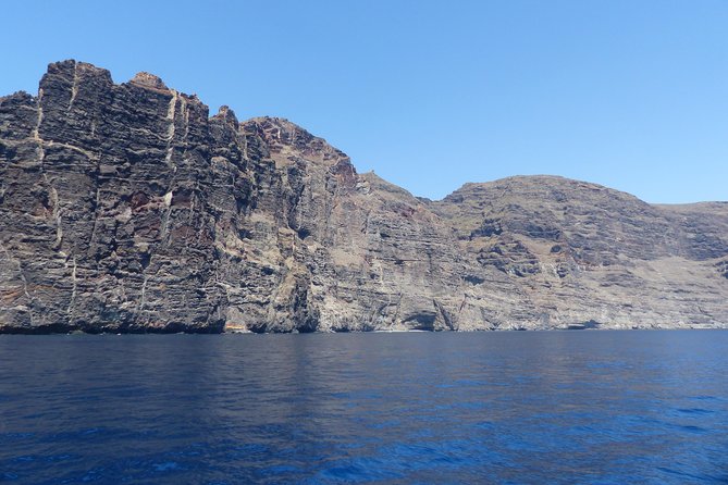 Los Gigantes Whale Watching Charter by Sail Boat - Who will enjoy this yacht trip most?