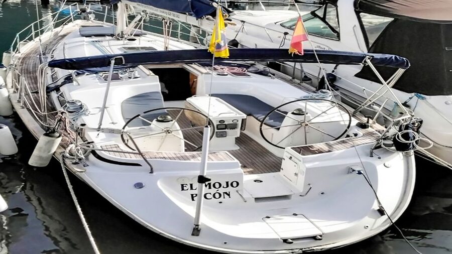 Los Gigantes: Whales and Dolphin Watching Cruise with Lunch - Booking, timing, and cancellation