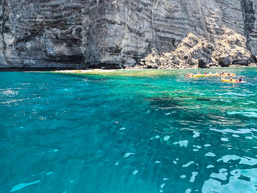 Los Gigantes: Whales and Dolphin Watching Cruise with Lunch - A 30-minute cove beneath the cliffs