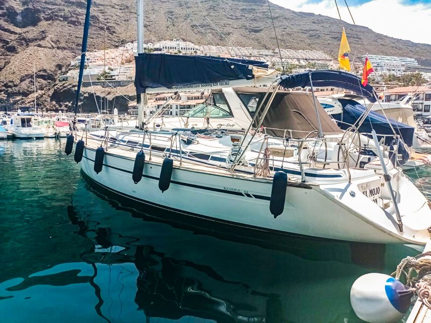 Los Gigantes: Whales and Dolphin Watching Cruise with Lunch - What lunch really means on this boat