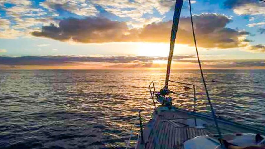 Los Gigantes: Whales and Dolphin Watching Cruise with Lunch - Returning under Los Gigantes