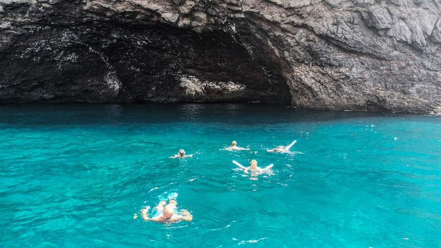 Los Gigantes: Whales and Dolphin Watching Cruise with Lunch - Who should choose this trip?