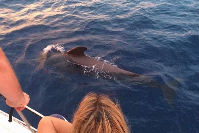 Luxury 3 Hour Yacht Private Charter - Whale and dolphin watching near Las Galletas