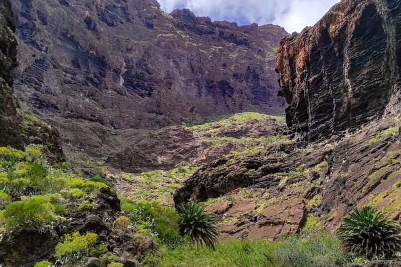 MASCA GORGE Trail: Guided Hike - Returning to Santiago del Teide