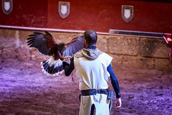Medieval Castle with dinner from Puerto de la Cruz in TenerifeSur - A good choice for families