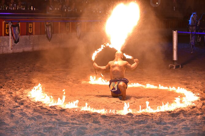 Medieval San Miguel castle with dinner-Show in South Tenerife - Horsemen, falcons, steel, and fire