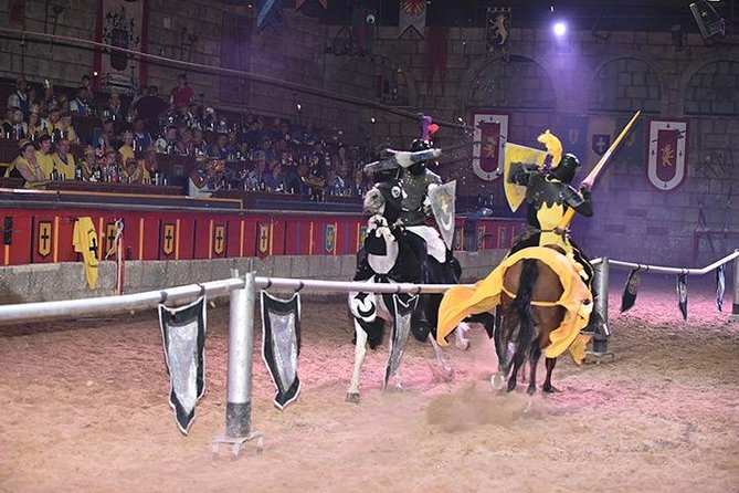 Medieval Show and Dinner at Castillo San Miguel with Transfer - A knightly evening in Aldea Blanca