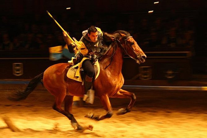 Medieval Show and Dinner at Castillo San Miguel with Transfer - Why families tend to enjoy it