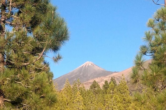 Monster Quad Teide Tour - Morning, afternoon, or sunset