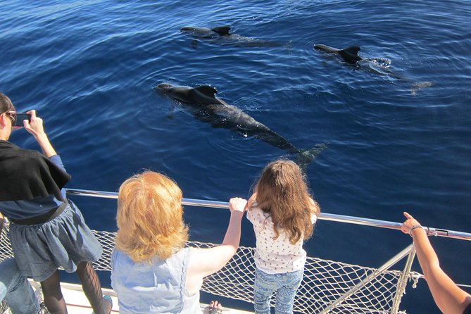 Most Famous Catamaran in Tenerife Island (2 hours and 3 hours tours) - Two hours or three hours on the water