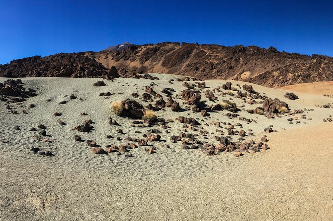 Mount Teide and Tenerife North with Food & Wine Tasting Private Tour - From Tenerife’s coast to the volcanic heights