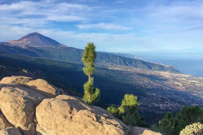 Mount Teide and Tenerife North with Food & Wine Tasting Private Tour - Bodegas Monje and the three-wine tasting