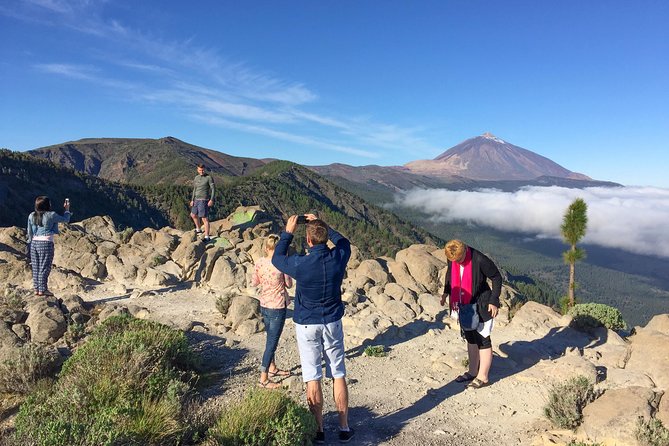 Mount Teide and Tenerife North with Food & Wine Tasting Private Tour - Teide National Park’s cones, craters, and lava