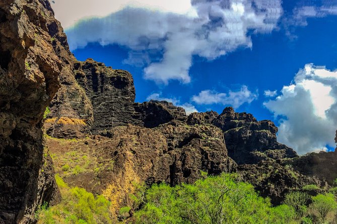Mount Teide and Teno Country Park Private Tour - Teno Country Park and the rough southwest