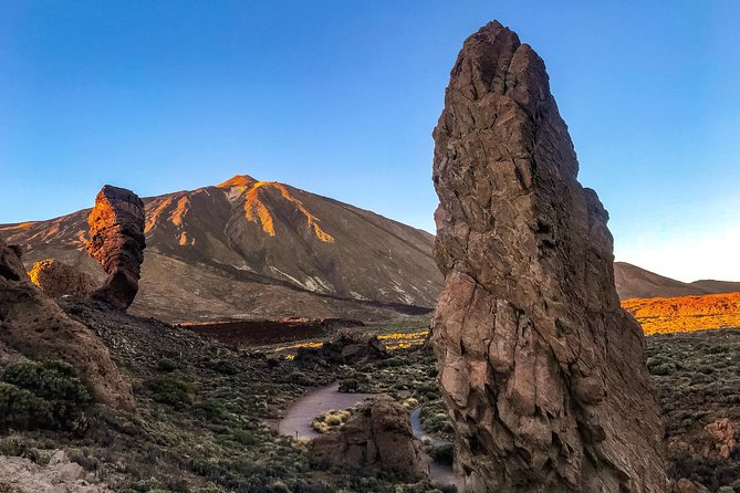 Mount Teide and Teno Country Park Private Tour - Corona Forestal at 1,000 metres