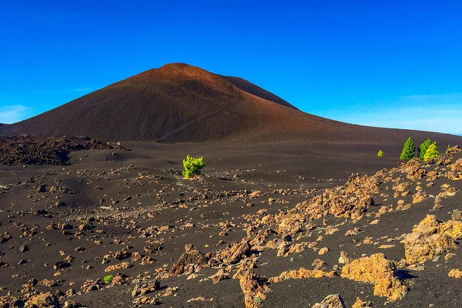 Mount Teide and Teno Country Park Private Tour - Jaime Muñoz and the value of a local guide