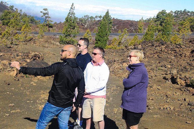 Mount Teide and Teno Country Park Private Tour - Who should book this day
