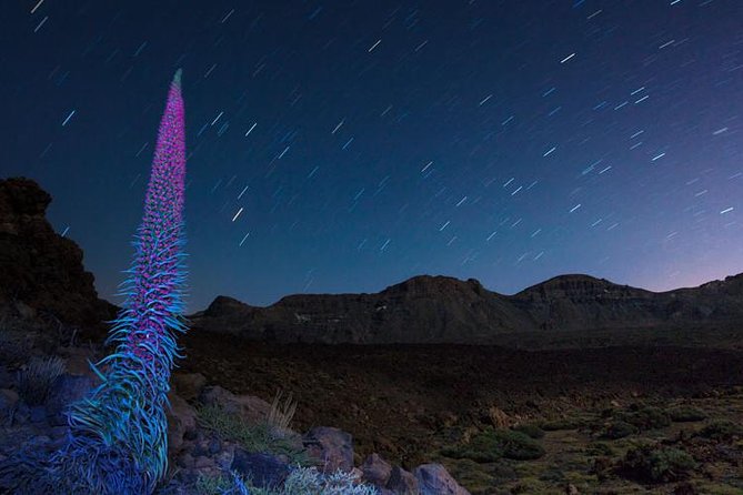 Mount Teide Night Tour: Stargazing, Dinner and Hotel Pick up - The evening begins with a long southern Tenerife pickup