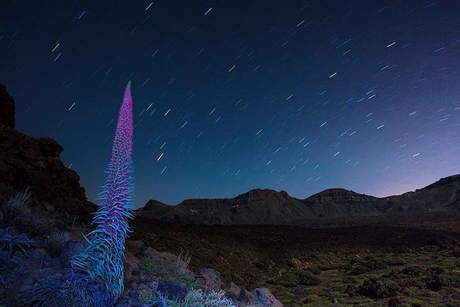 Mount Teide Night Tour: Stargazing, Dinner and Hotel Pick up - No telescope, and why the viewing spot matters