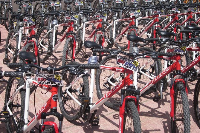 Mountain Bike Rental Tenerife - Booking advice for a smoother ride