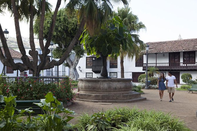 Mt. Teide and Masca Valley Tour in Tenerife - What this full-day Tenerife route really delivers