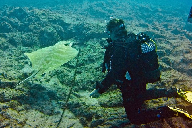 OPEN WATER CERTIFICATION - Become an autonomous diver up to 18m ! - Moving from practice to open water