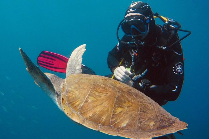 OPEN WATER CERTIFICATION - Become an autonomous diver up to 18m ! - Weather, fitness, and scheduling