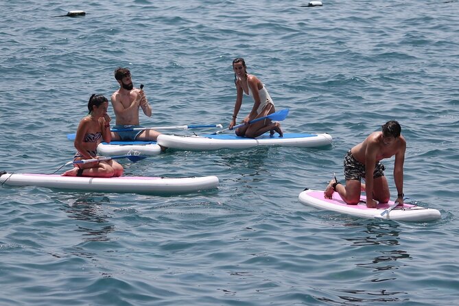 Paddle Surf - Price and value at $31.99