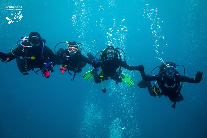 PADI Advanced Open Water Diver Course (AOWD) - 2 days - How good is the $539.48 value?