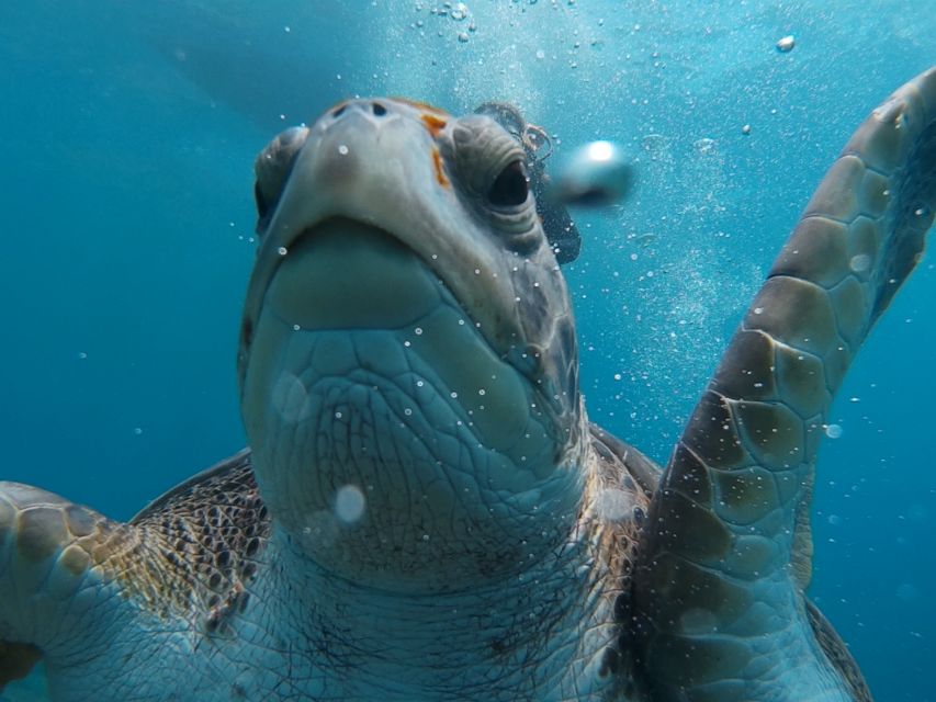 PADI Open Water Course in 3 Days - FAQ