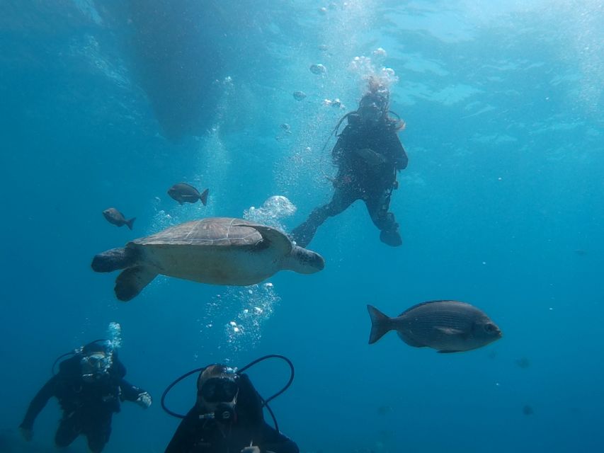 PADI Open Water Course in 3 Days - What the PADI Certificate Gives You