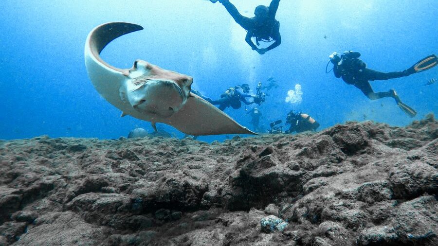 PADI Open Water Course in 3 Days - Practical Details Before You Book
