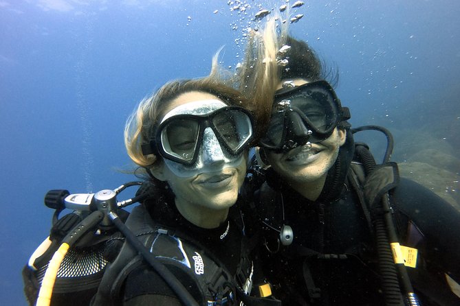 PADI Open Water Course in Costa Adeje - Marine life and the character of the experience