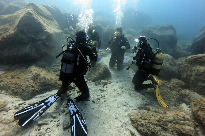 PADI Open Water Course in Costa Adeje - Five confined-water sessions in the bay