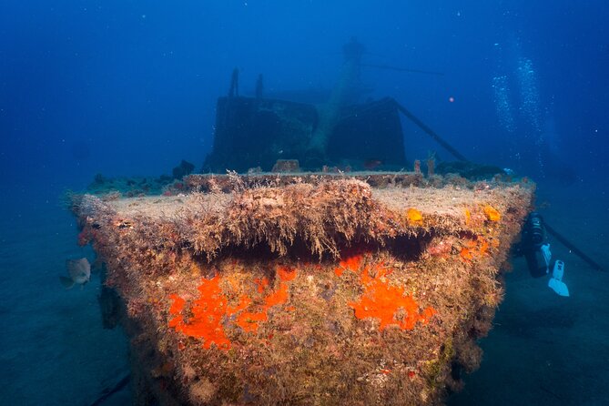 PADI Open Water course in Playa de las Americas - Who will get the most from this course