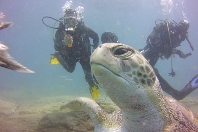 PADI Open Water Diver Course - What the three-day course includes