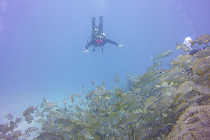 PADI Open Water Diver Course - What your certification allows