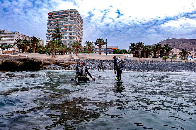 PADI Scuba Diving Courses in Tenerife: All Specialities Until Divemaster - Who will enjoy this most