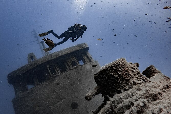 PADI Scuba Diving Courses in Tenerife: All Specialities Until Divemaster - How to choose the right PADI level