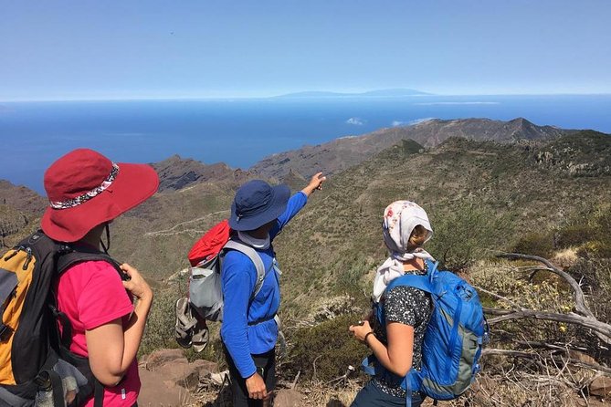 Panoramic route across the Teno rural Park in Tenerife - Why Teno Feels Different From Resort Tenerife