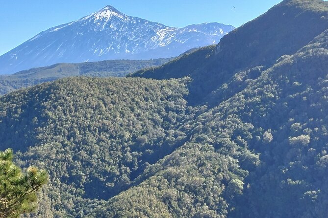 Panoramic route across the Teno rural Park in Tenerife - Villages and Traditional Architecture