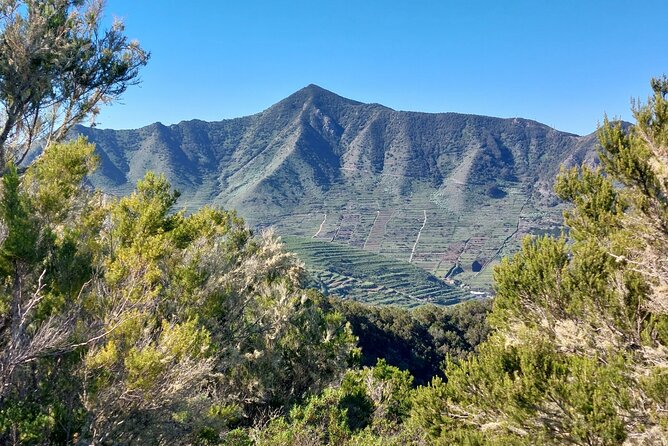 Panoramic route across the Teno rural Park in Tenerife - A Guide Who Makes the Walk More Than Exercise
