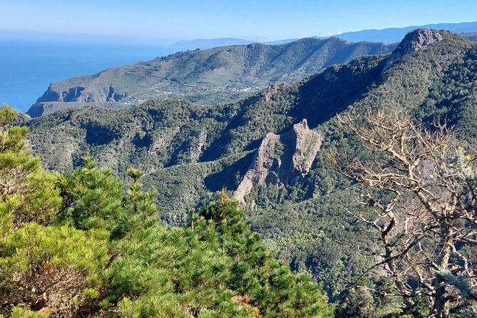 Panoramic route across the Teno rural Park in Tenerife - Optional Goat Cheese, Wine, and Local Pastries