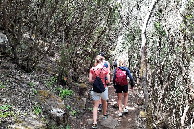 Panoramic route across the Teno rural Park in Tenerife - What to Pack for Teno’s Quick Weather Changes