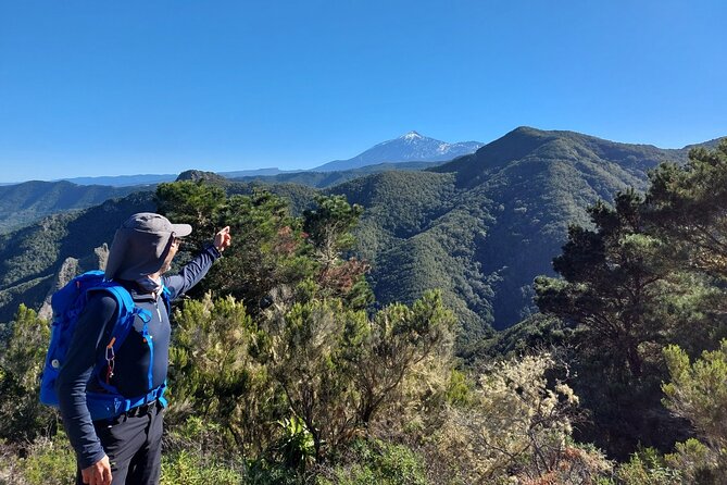 Panoramic route across the Teno rural Park in Tenerife - Is the $113.84 Price Good Value?