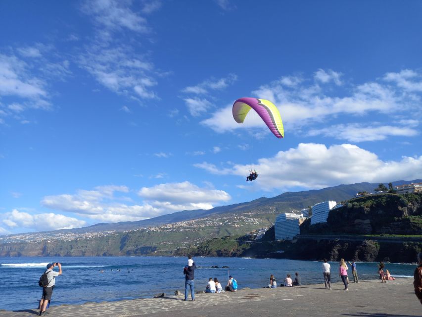 Paragliding in Puerto de la Cruz: start from 2200m high - From Puerto de la Cruz to Teide National Park
