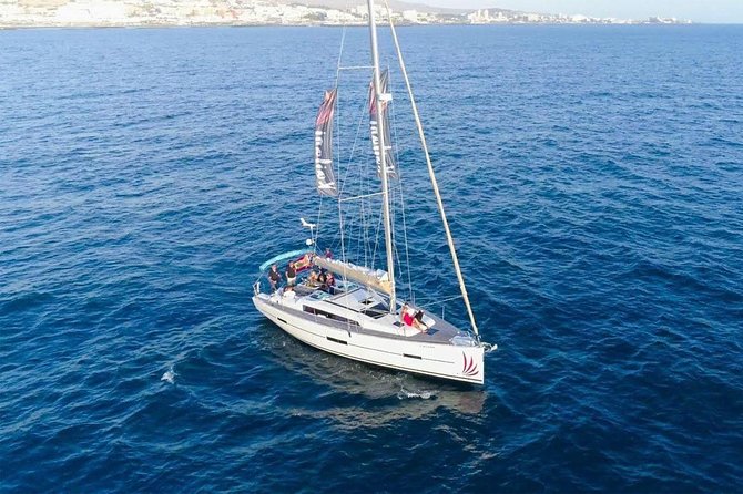 Premium All Inclusive Whale & Dolphin Watching Experience - Leaving Puerto Colón for Tenerife’s southern coast
