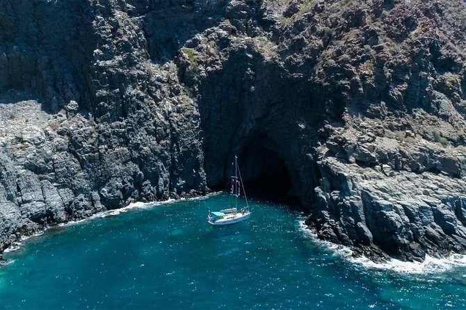 Premium All Inclusive Whale & Dolphin Watching Experience - Snacks, drinks, and what premium means here
