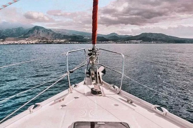 Premium All Inclusive Whale & Dolphin Watching Experience - Who will get the most from this three-hour outing